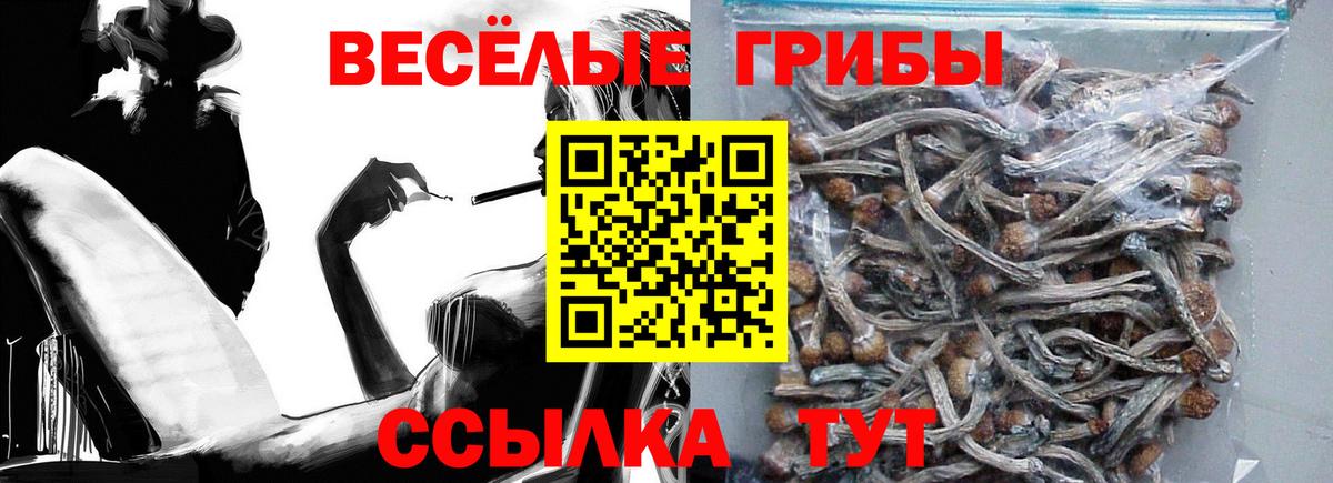 Надым  Галлюциногенные грибы MAGIC MUSHROOMS  Псилоцибиновые грибы прущие грибы  Вход с VPN 