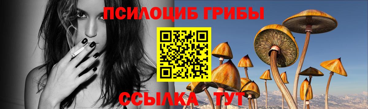 Псилоцибиновые грибы MAGIC MUSHROOMS Надым